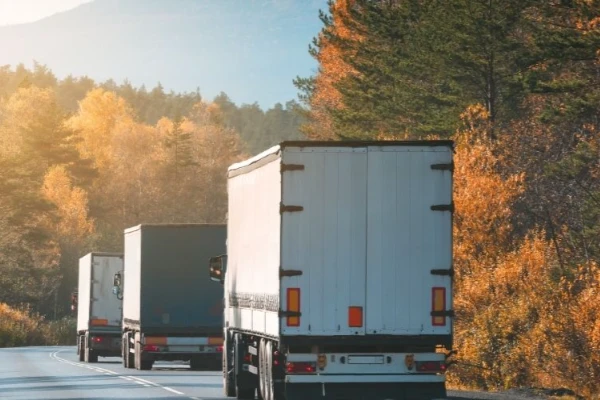 Antalya Taşlıtarla Nakliyat